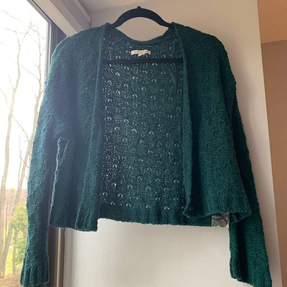 Cropped American Eagle Sweater